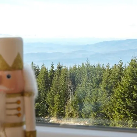 Vila Kruna Suncani Breg Kopaonik Exterior foto