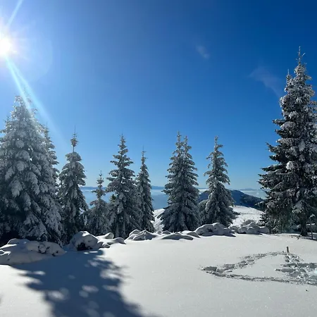 Vila Kruna Suncani Breg Kopaonik Exterior foto